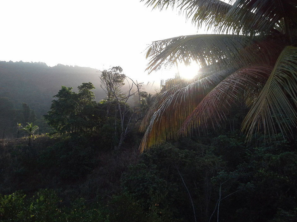 Las Cuevas Beach Lodge Bagian luar foto