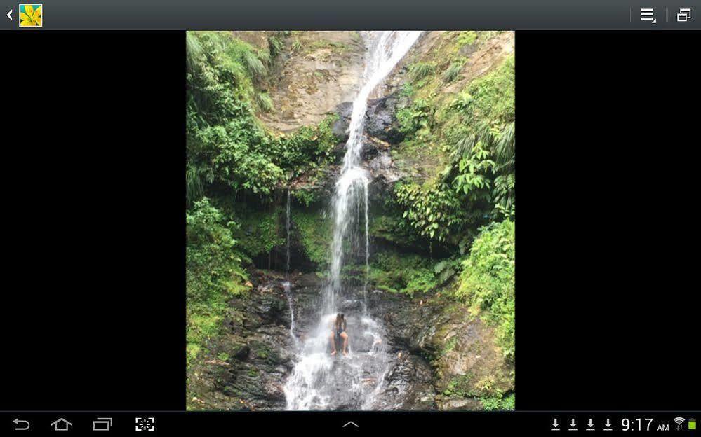 Las Cuevas Beach Lodge Bagian luar foto